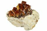 Red & Tan Vanadinite Crystal Cluster On Matrix - Morocco #116754-2